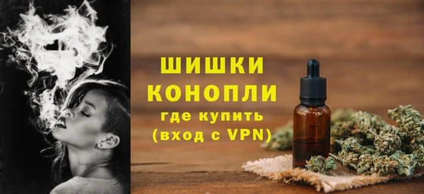 трава Осинники
