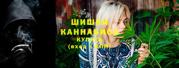 трава Осинники