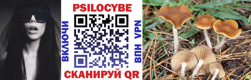 купить сайты Липецк Галлюциногенные грибы MAGIC MUSHROOMS